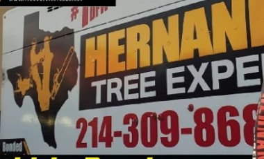 Large-format vehicle decals produced by FVS